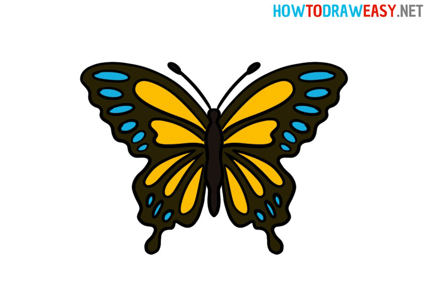 Butterfly Drawing guide and coloring page printables-vinhomehanoi.com.vn