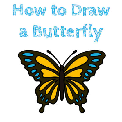Butterfly Easy How to Draw