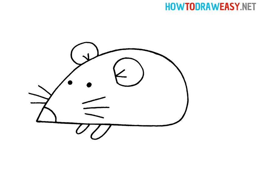 Draw a Rat for Kids