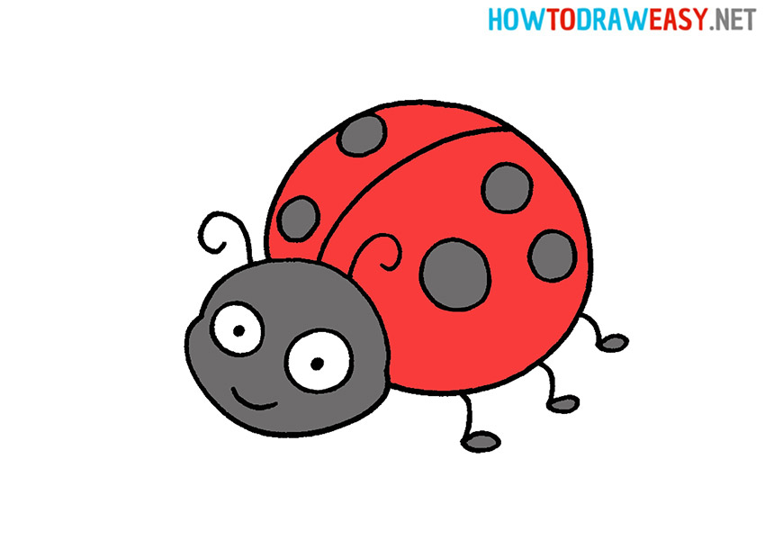 Drawing a Ladybug