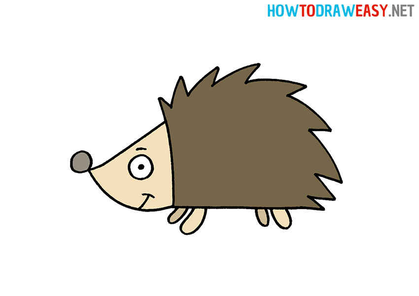 Drawing a Hedgehod