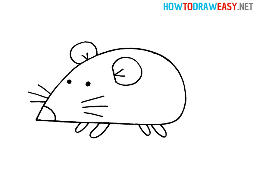Drawing a Rat for Kids