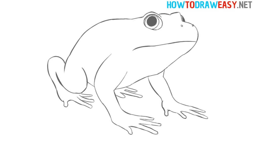 Frog How to Draw for Kids