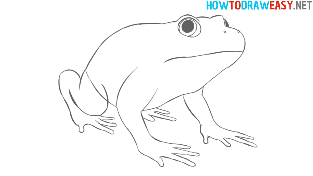 How to Draw a Cartoon Frog