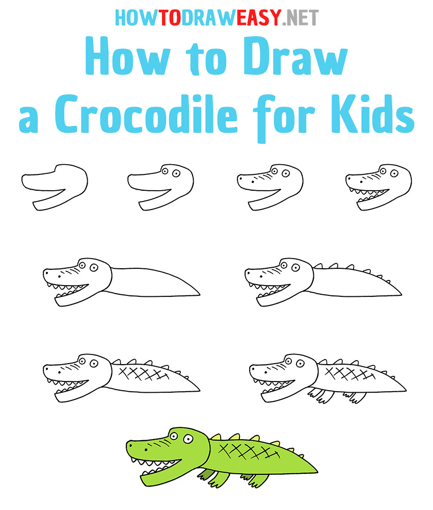 How to Draw a Crocodile Step by Step