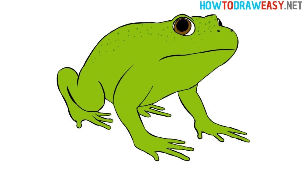 Draw a Frog