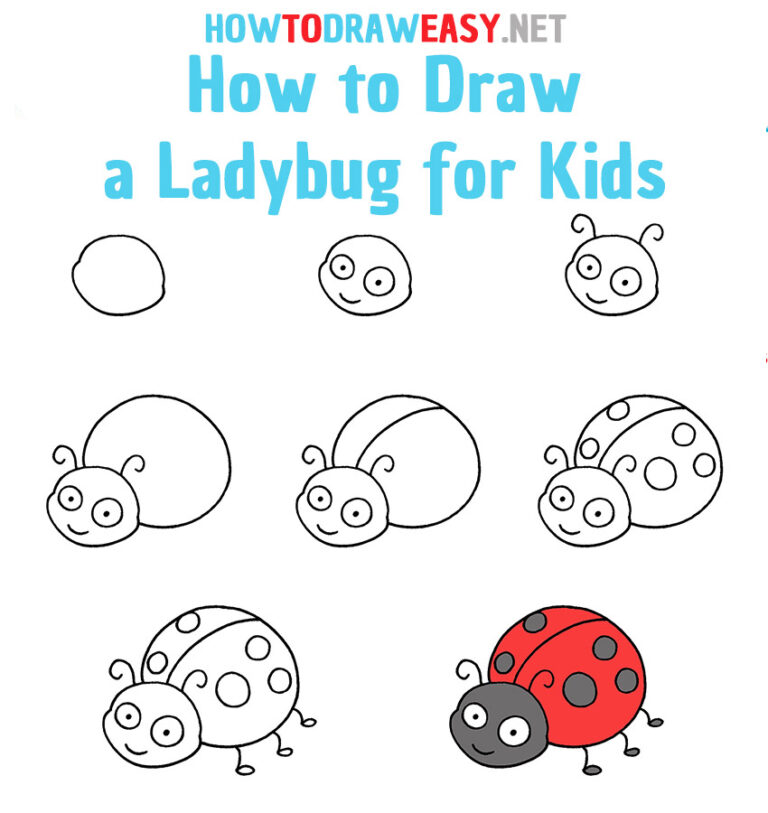 How to Draw a Ladybug for Kids How to Draw Easy