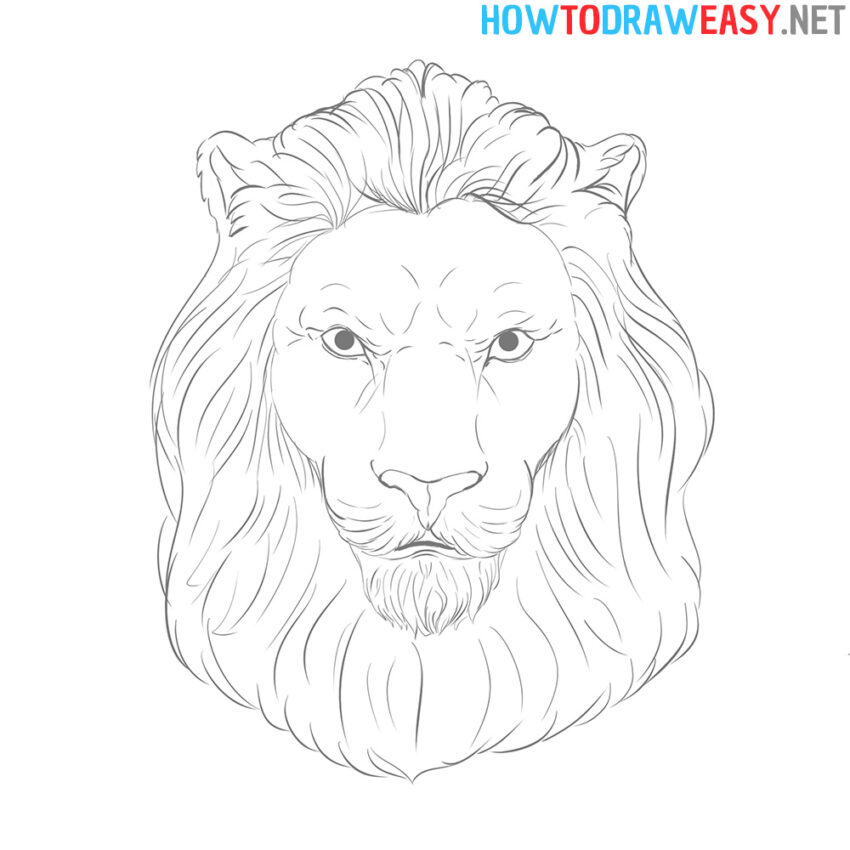 How to Draw a Lion's Face - How to Draw Easy