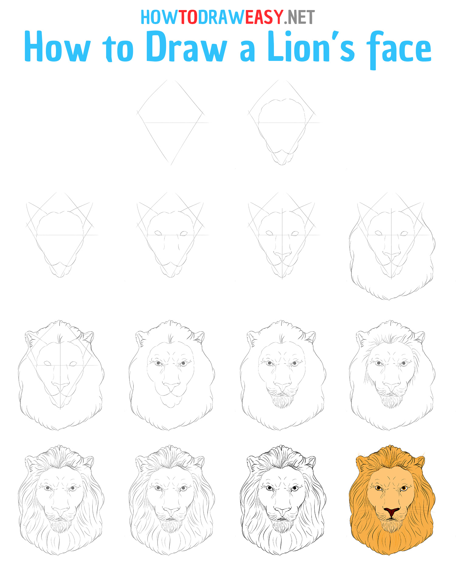How to Draw a Lion's Face Step by Step Head