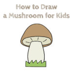 How to Draw a Mushroom for Kids