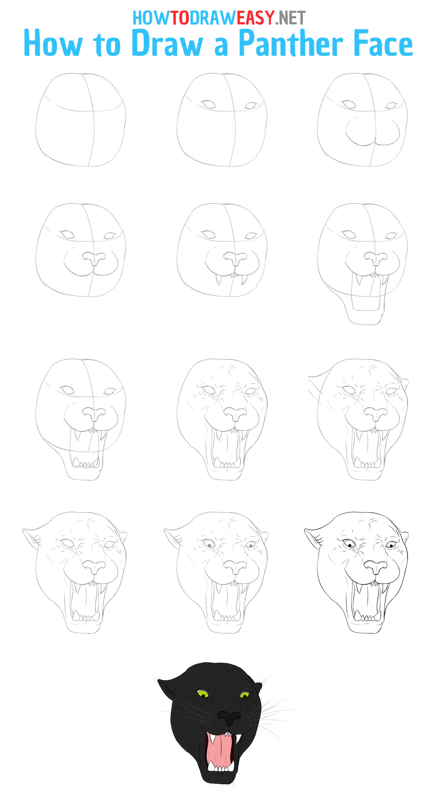 How to Draw a Panther Face Head Step by Step