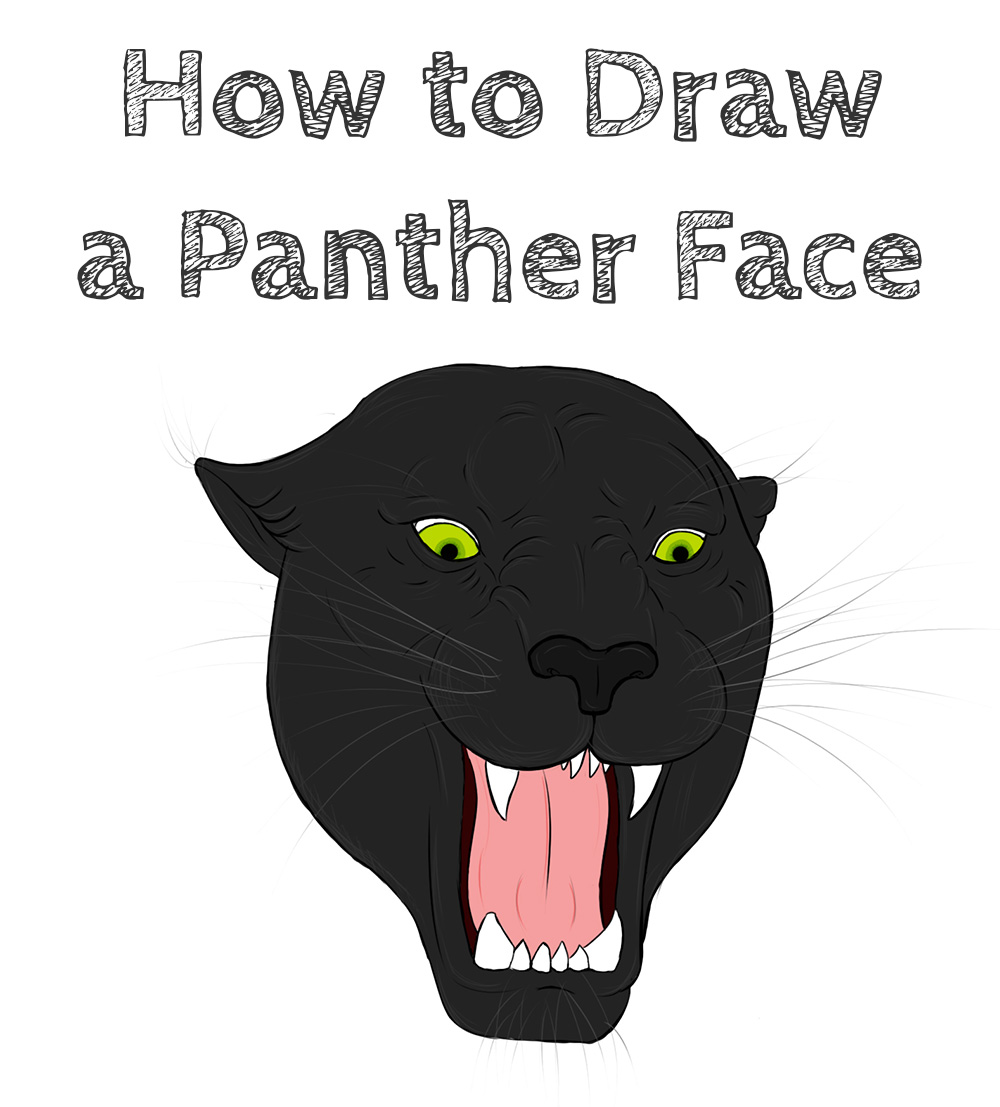 How to Draw a Panther Head