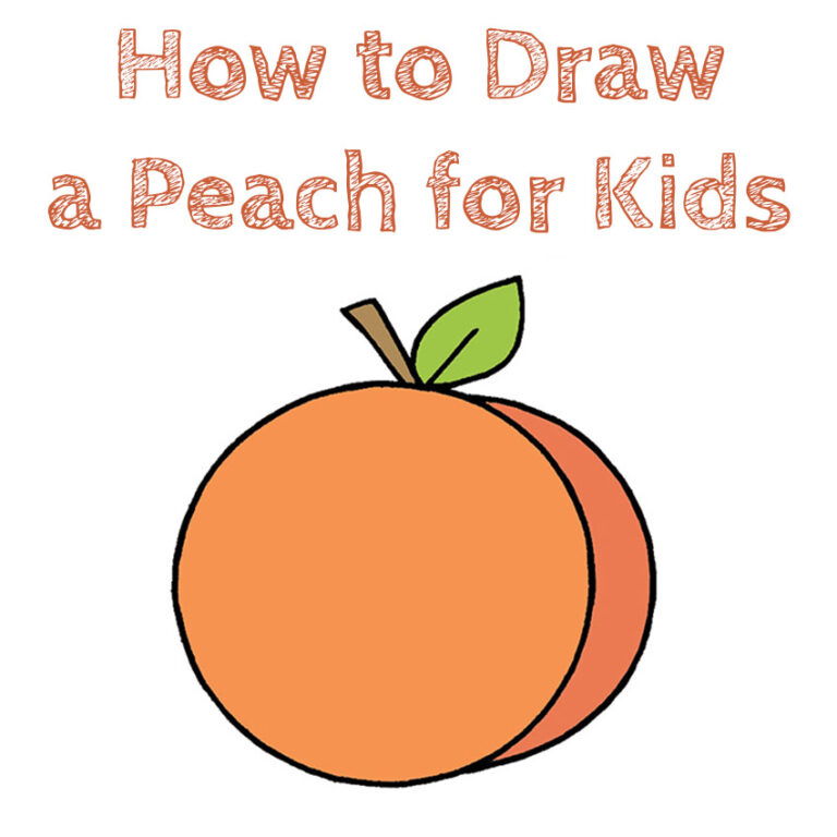 How to Draw a Peach for Kids How to Draw Easy