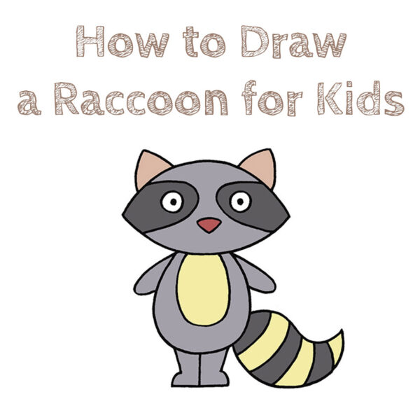 How to Draw a Raccoon for Kids - How to Draw Easy