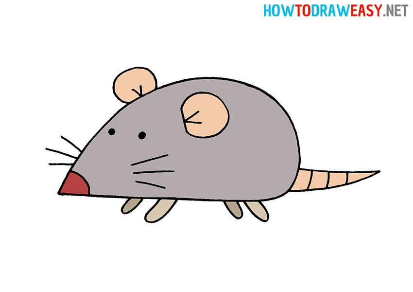 How to Draw a Rat Easy