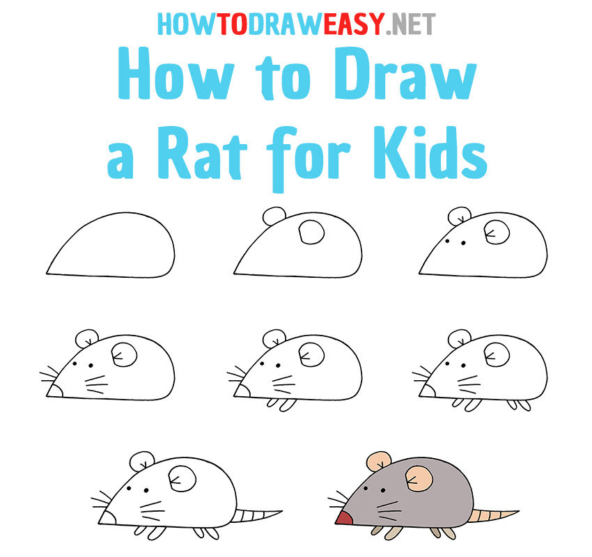 How to Draw a Rat Step by Step for Kids