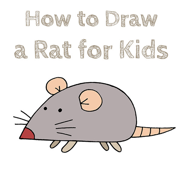 How to Draw a Rat for Kids