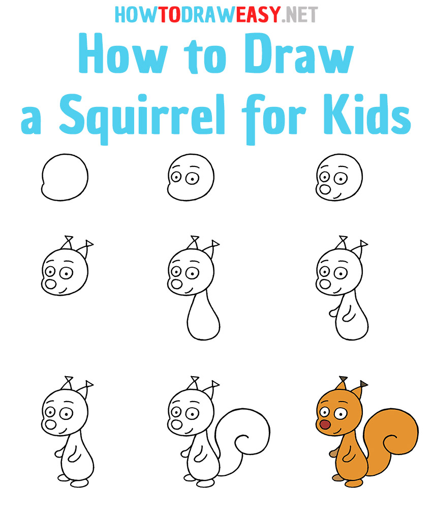 How to Draw a Squirrel for Kids Step by Step
