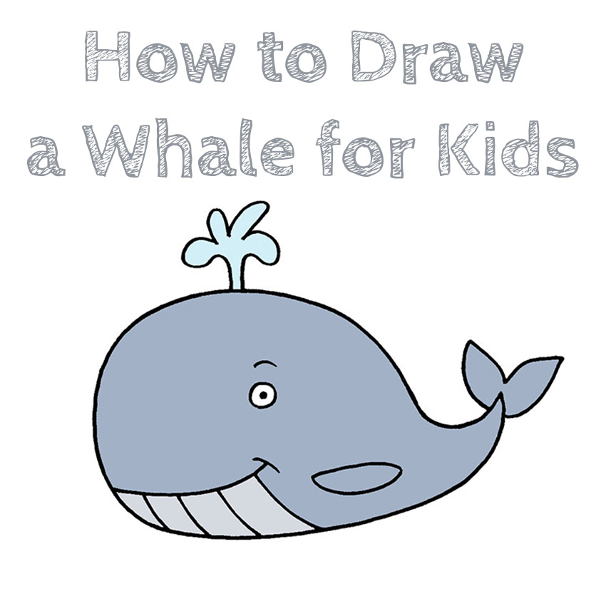 How to Draw a Whale for Kids