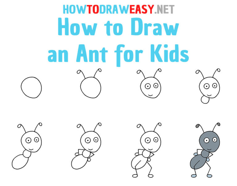 How to Draw an Ant for Kids - How to Draw Easy