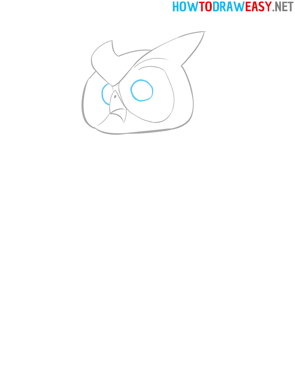 How to Draw an Owl Eyes
