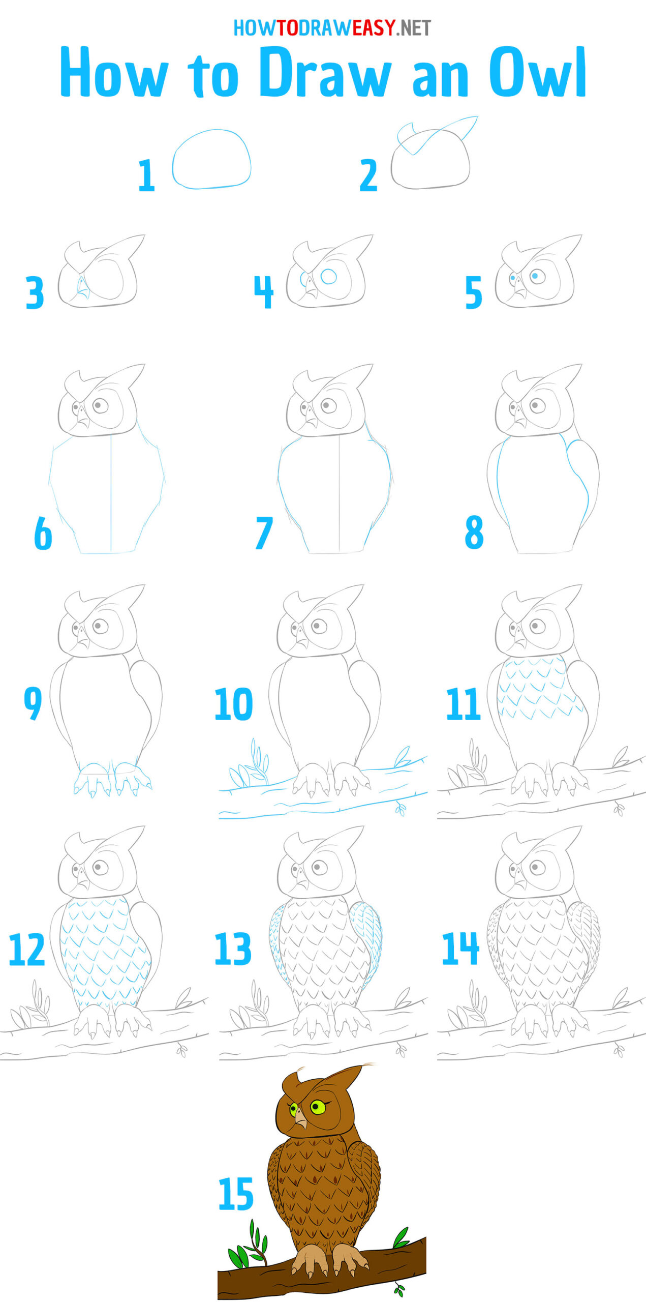 How to Draw an Owl Step by Step