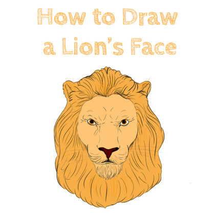 Lion Face Drawing Head
