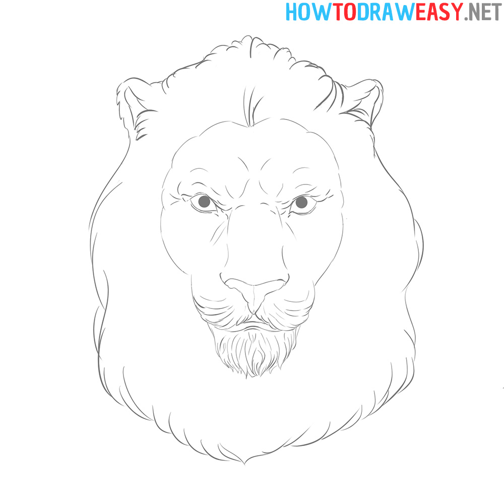 Lion Head Drawing Tutorial