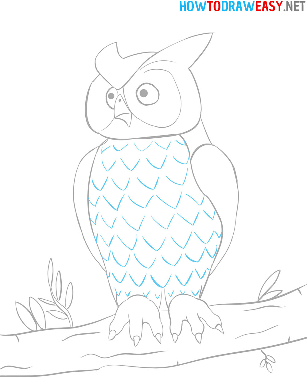 Owl Sketch Drawing