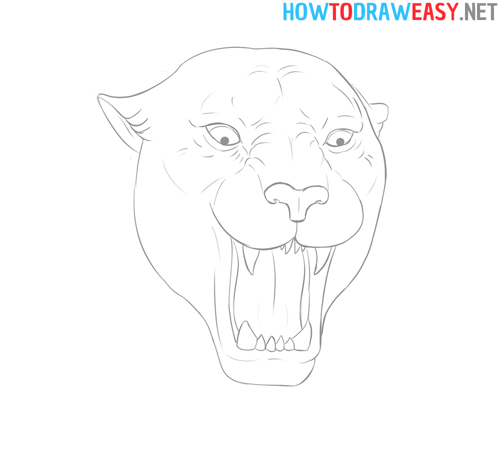 Panther Face Drawing Tutorial