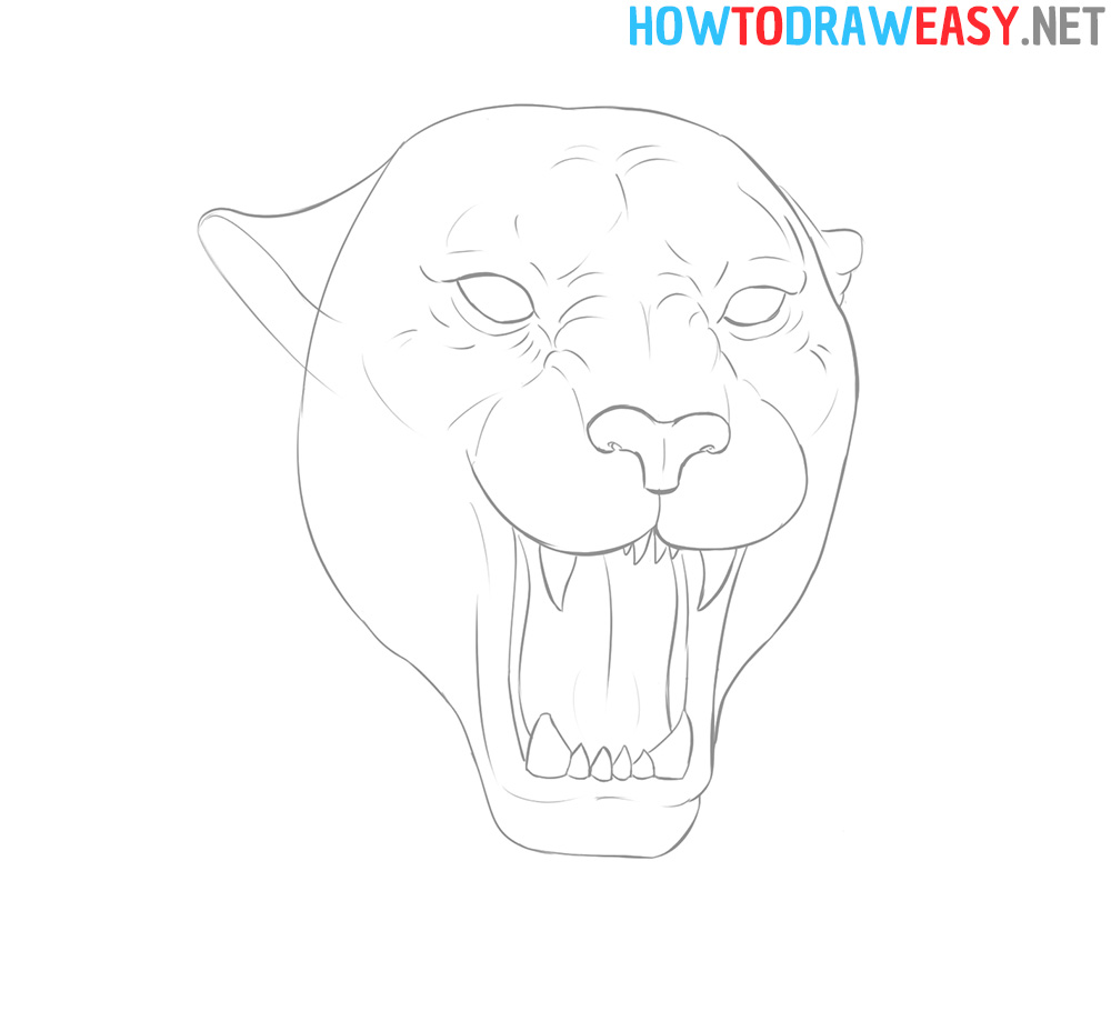Panther Head Drawing