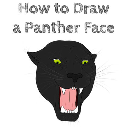 Panther Head How to Draw