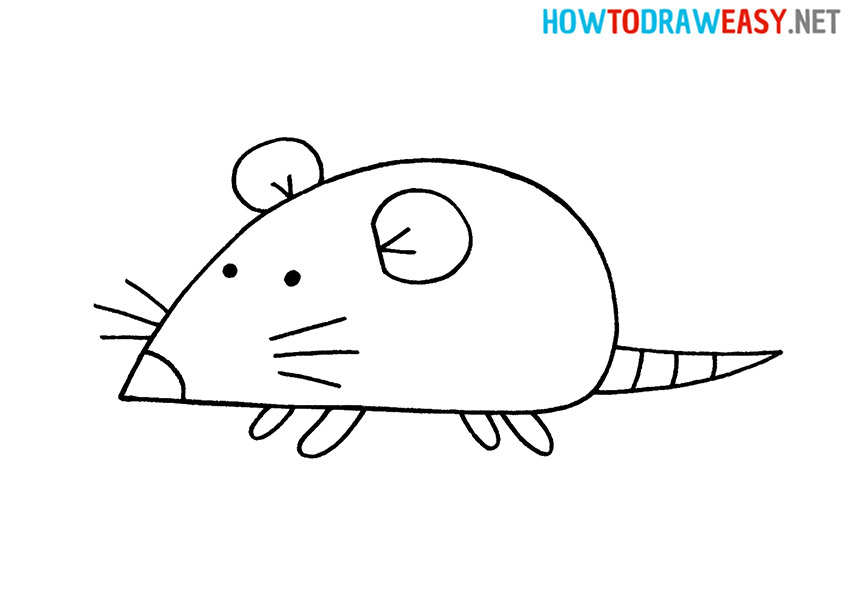 Sketching a Rat for Kids
