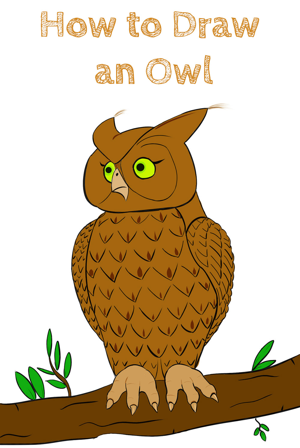 Step by Step How to Draw an Owl