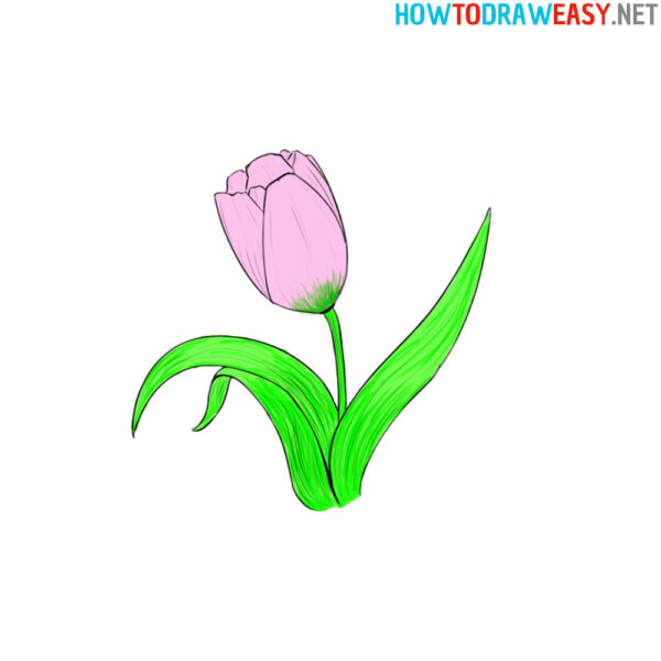 How to Draw a Tulip - How to Draw Easy