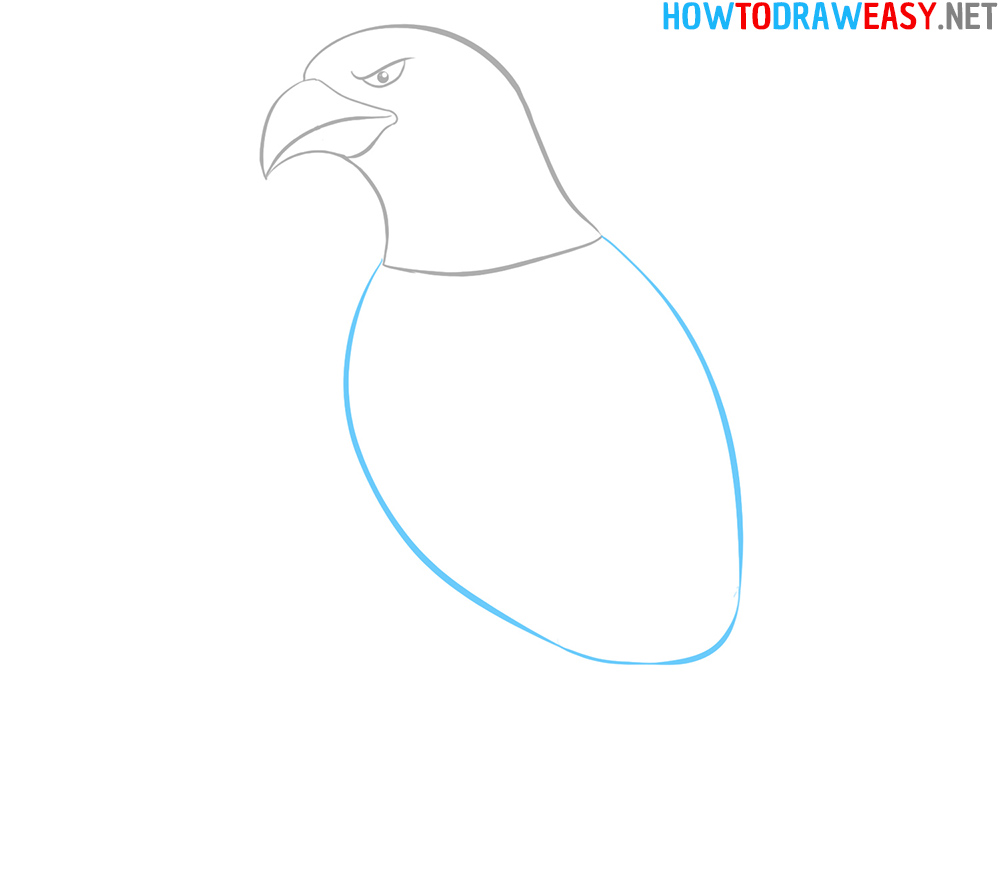 Bald Eagle Step by Step Drawing