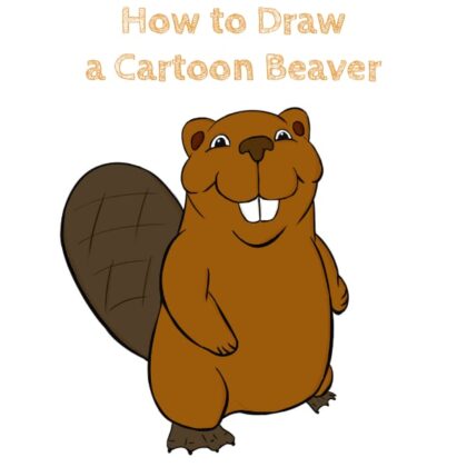 Beaver How to Draw