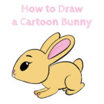 How to Draw a Cartoon Bunny