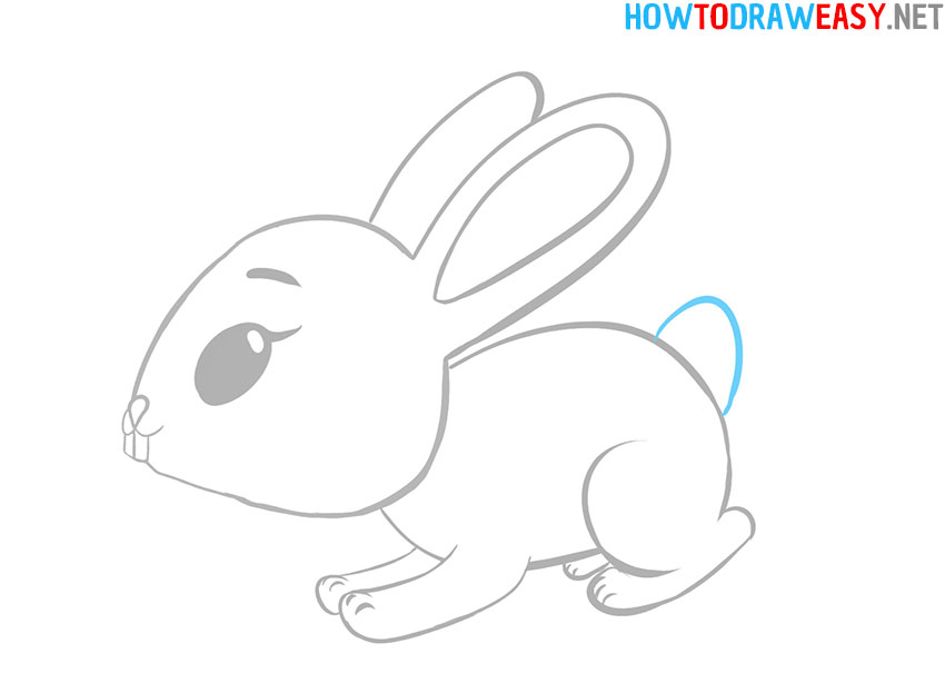 Cartoon Bunny Drawing