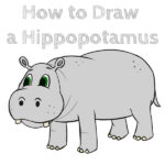 How to Draw a Cartoon Hippopotamus