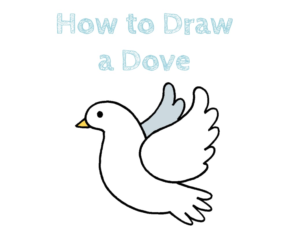 Dove Easy Drawing Step by Step