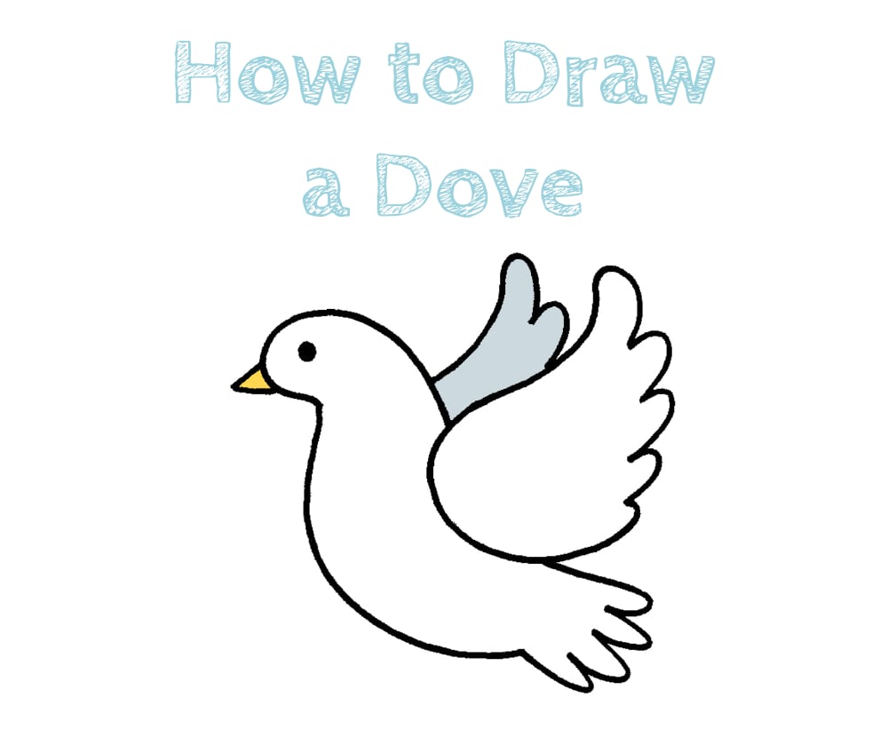 How to Draw a Dove for Kids How to Draw Easy