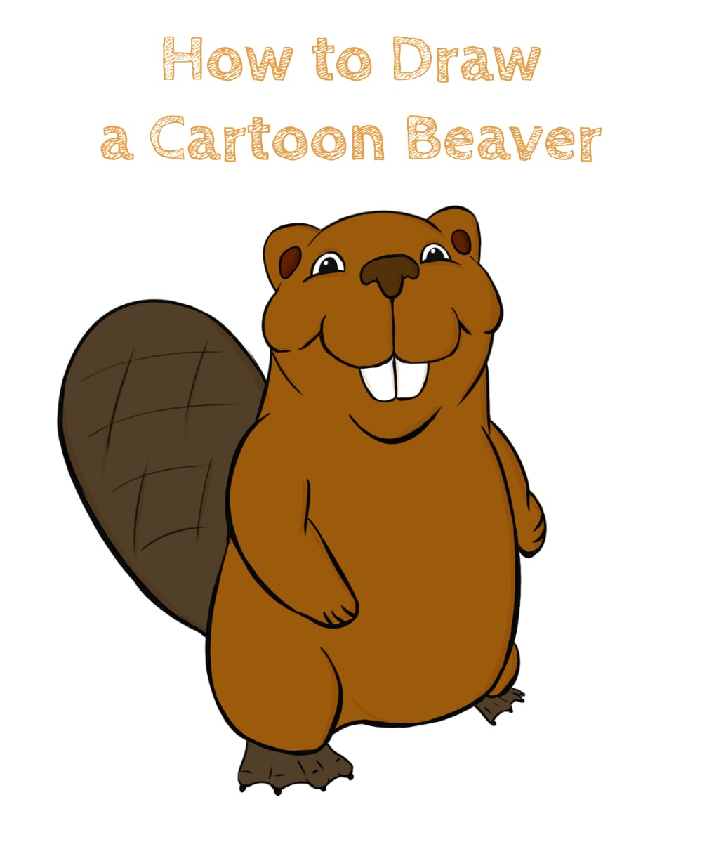 Draw a Cartoon Beaver