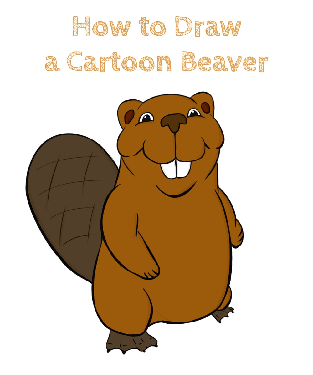 How to Draw a Cartoon Beaver How to Draw Easy