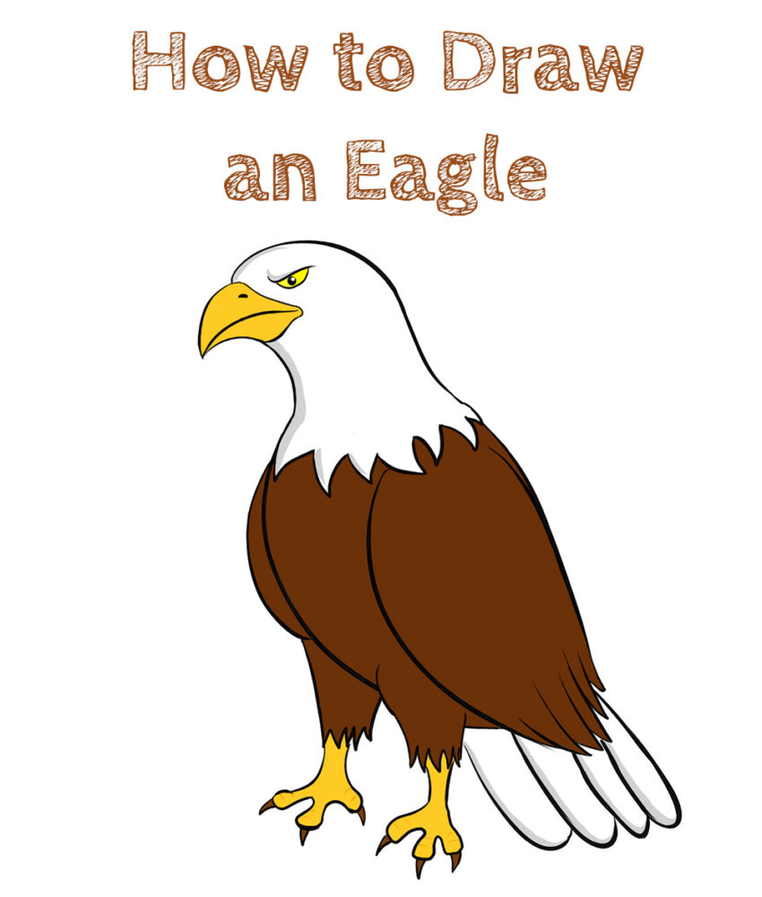 How To Draw An Eagle Clipart Made From Solid Shapes Alphabet Drawing ...