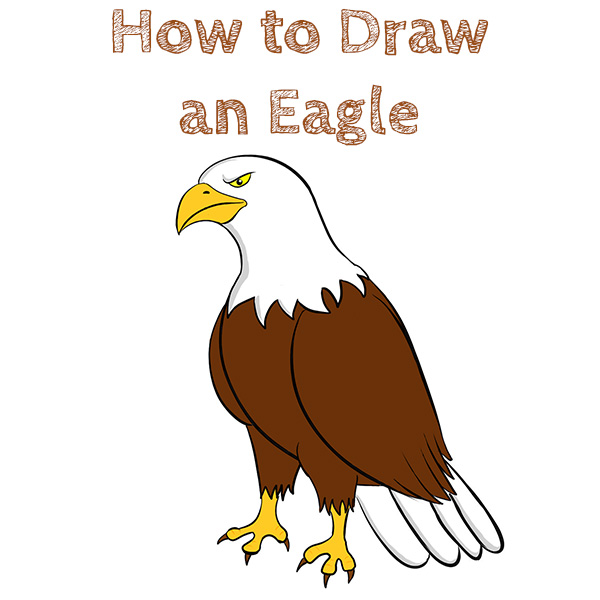 How to Draw an Eagle Easy