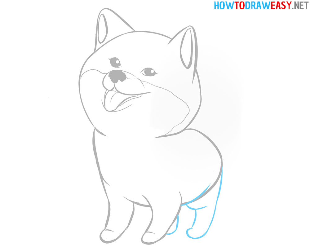How to Draw Shiba Inu Dog
