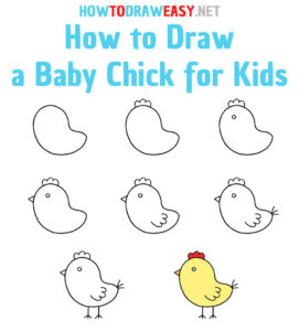 How to Draw a Baby Chick for Kids - How to Draw Easy