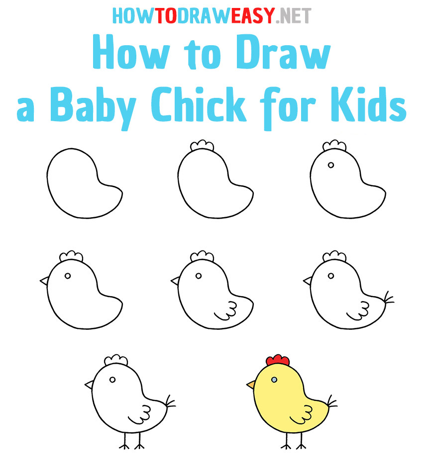 How to Draw a Baby Chick Step by Step