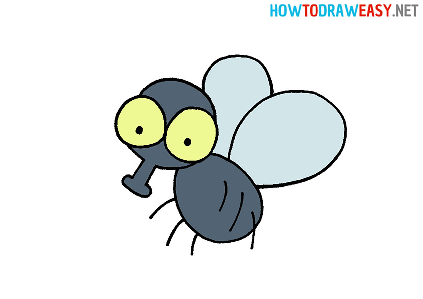 How to Draw a Cartoon Fly